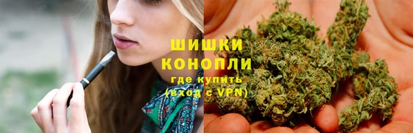 прущие грибы Вязники