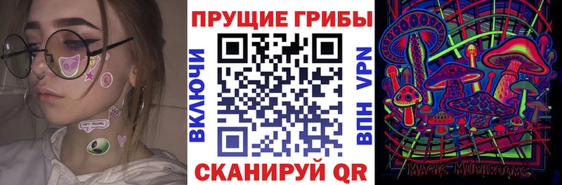 Галлюциногенные грибы Psilocybine cubensis  Татарск 